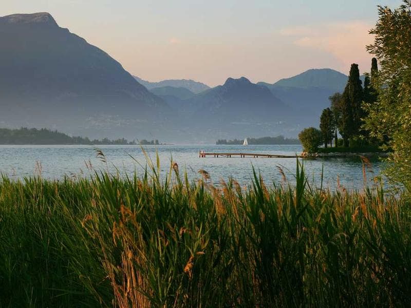 Risk Management Services