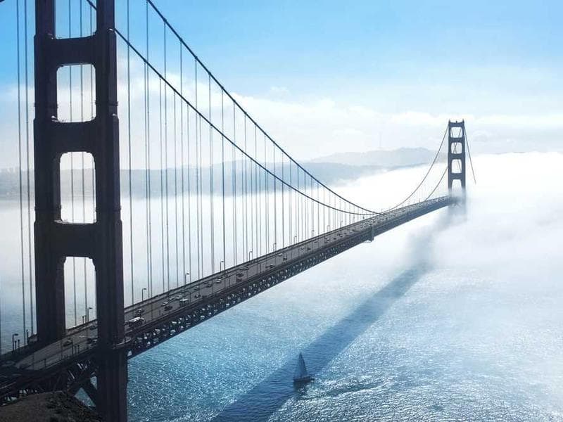 Sector-Specific Security