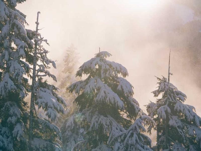 Security Architecture & Engineering